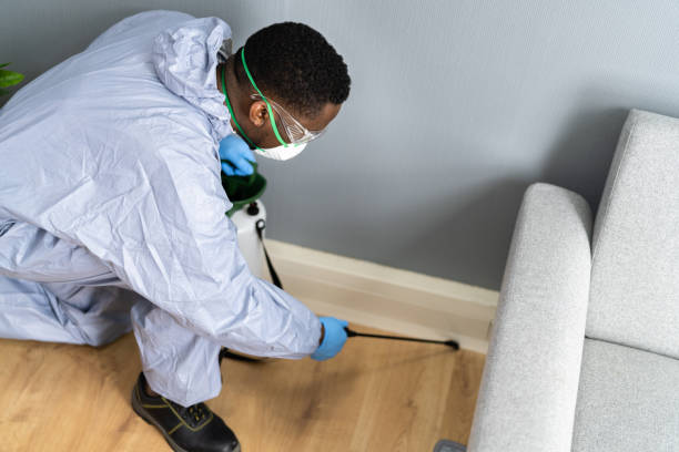 Real Estate Pest Inspections in Bangor, ME